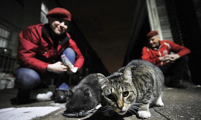Curtis Sliwa Offers NYC Mayor Eric Adams Feral Cats to Fight Rats