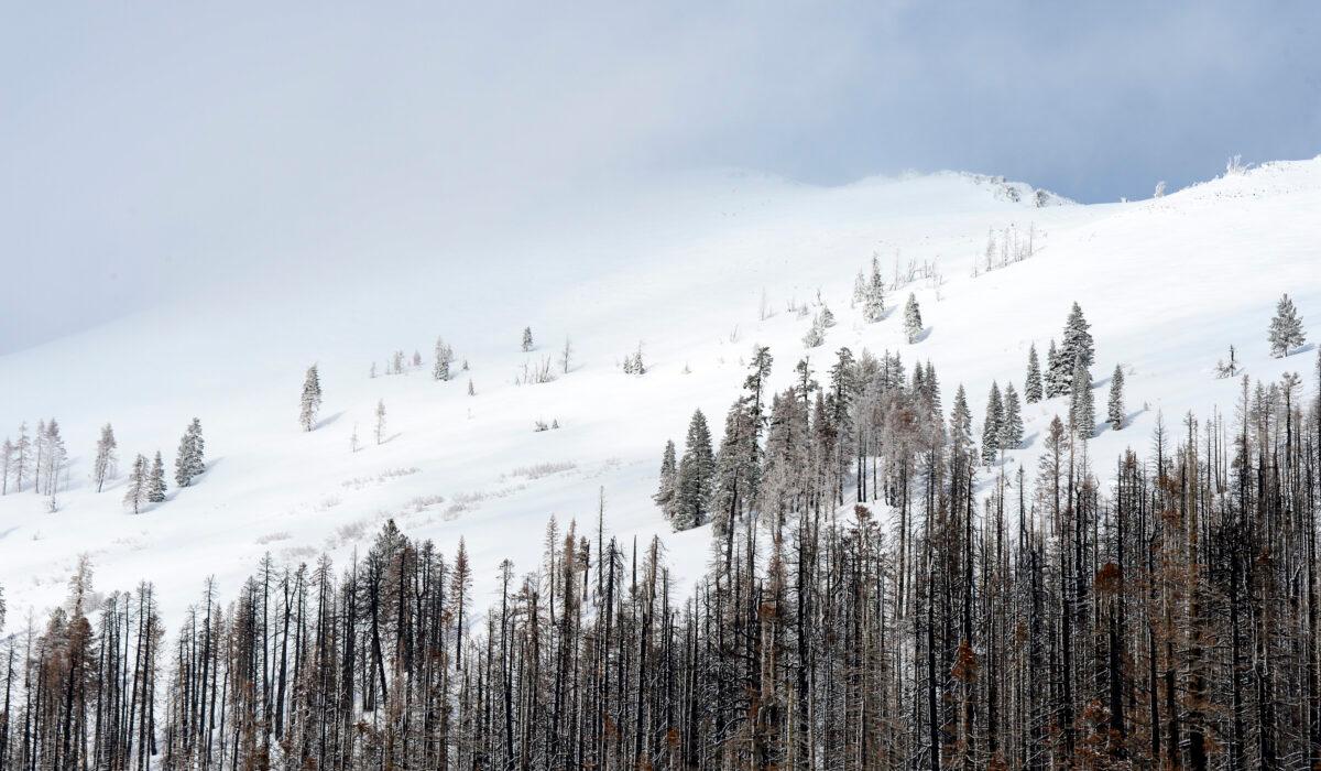 A mountain peak is covered with heavy snow near the Phillips Station meadow where the California Department of Water Resources conducted its first snow survey of the 2023 season in the Sierra Nevada Mountains in El Dorado County on Jan. 3, 2023. (Jonathan Wong/California Department of Water Resources)