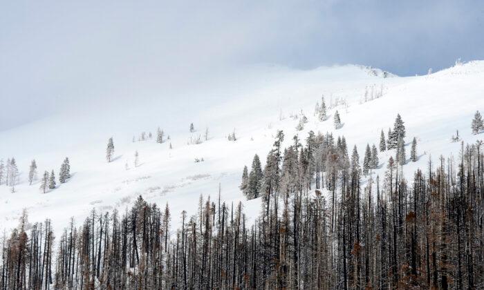 Heavy California Snowfalls Creating Dangerous Travel Conditions in Sierras