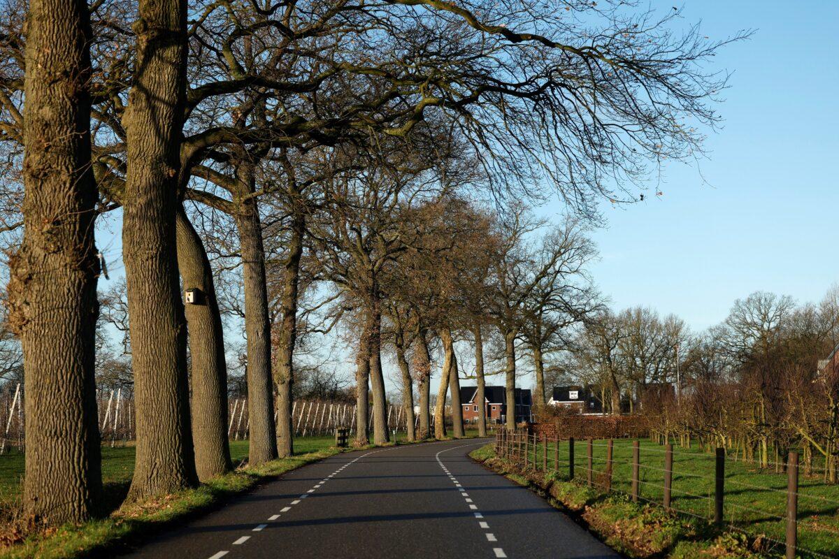 A street in the Dutch village of Ommeren, Netherlands, on Jan. 6, 2023. (Piroschka van de Wouw/Reuters)