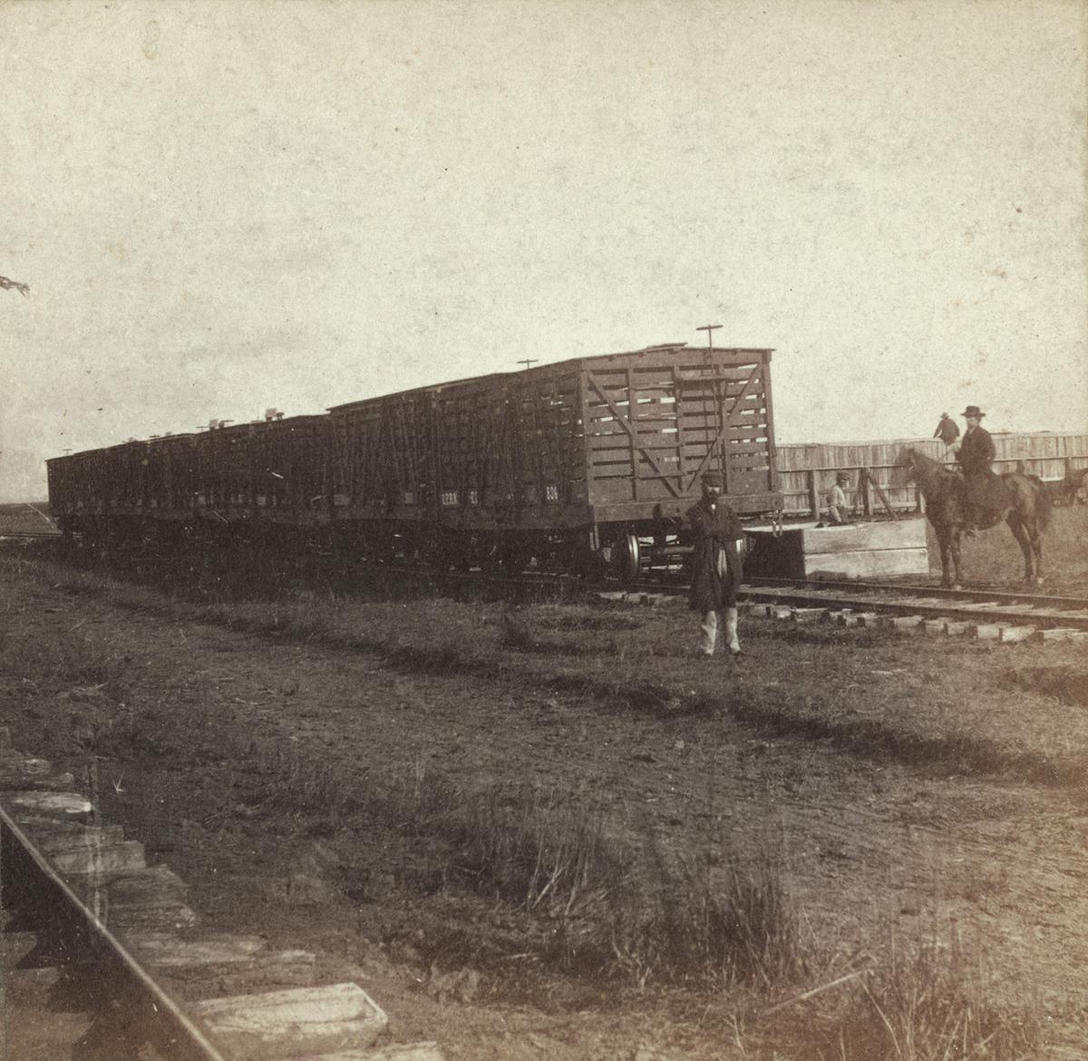 One of the first Western railheads allowing cattle to be shipped to eastern markets was located at Abilene, Kansas. The cattle trade provided the route for the song "Home on the Range" to be spread among western states by cowboys who learned it in Kansas. Library of Congress. (Public Domain)