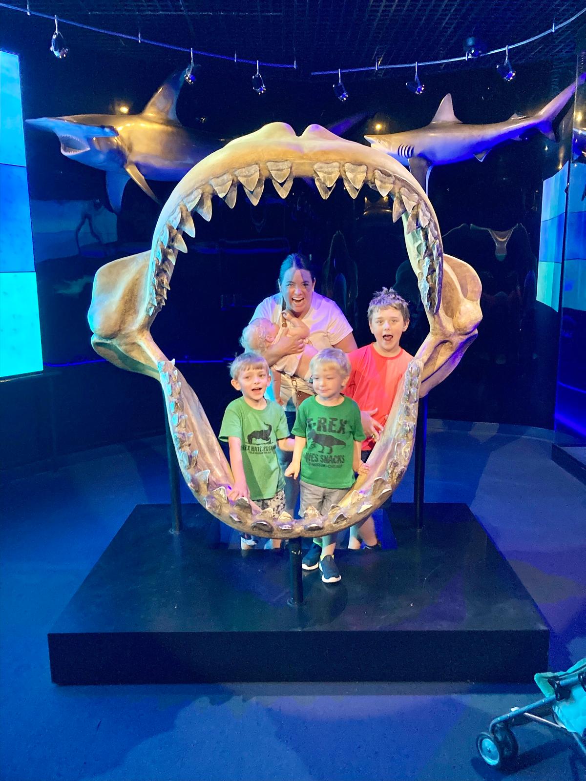 Visiting the Wonders of Wildlife National Museum & Aquarium in Springfield, Mo. (Colleen Carswell)