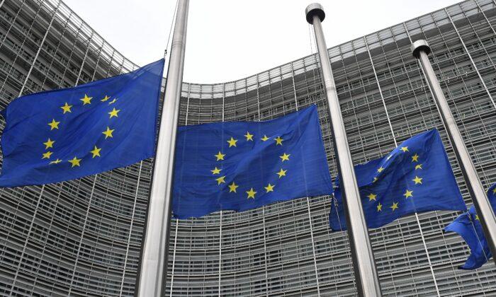 EU to Probe Chinese Biofuel Dumping Allegations