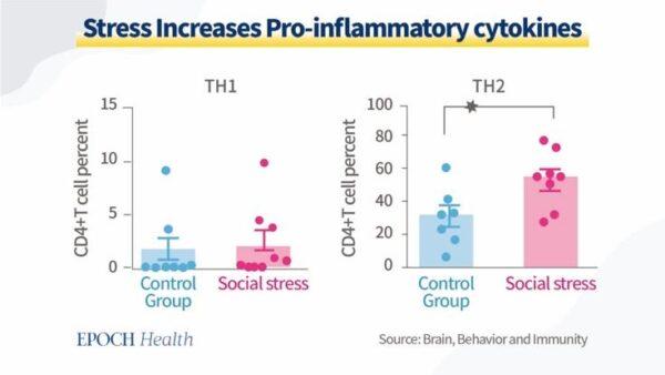 Fear and stress increase pro-inflammatory cytokines, leading to chronic inflammation. (The Epoch Times)