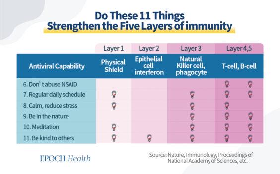 More actions that boost antiviral immunity. (The Epoch Times)