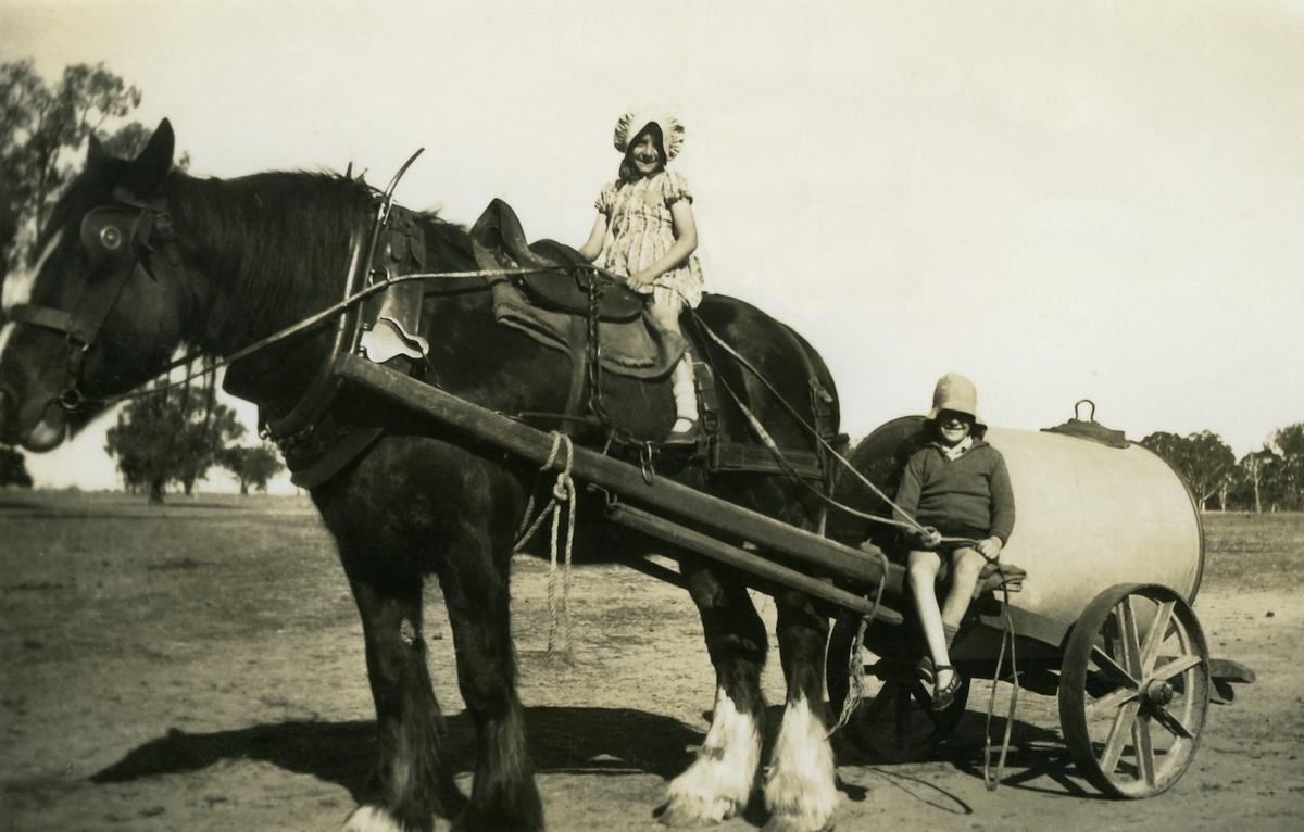 In this 1939 photo, a Furphy water cart hitched to an Australian Draught Horse. A small girl, Jill Mary Ellis, is riding on the horse's back holding the reins and her twin brother, Barrie Cyril Ellis, is resting on the left shaft also holding the reins. Photo was captured at "Cropwell," a few miles from Deniliquin, New South Wales, Australia. (<a href="https://commons.wikimedia.org/wiki/File:Furphy_hitched_to_an_Australian_Draught_Horse.jpg">Public Domain</a>)