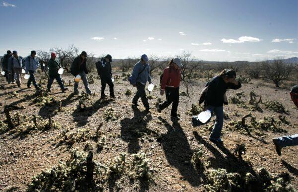 Lugging gallon jugs of water, illegal immigrants thread their way along footpaths just north of the Mexico/Arizona border.  (Don Bartletti/Los Angeles Times)