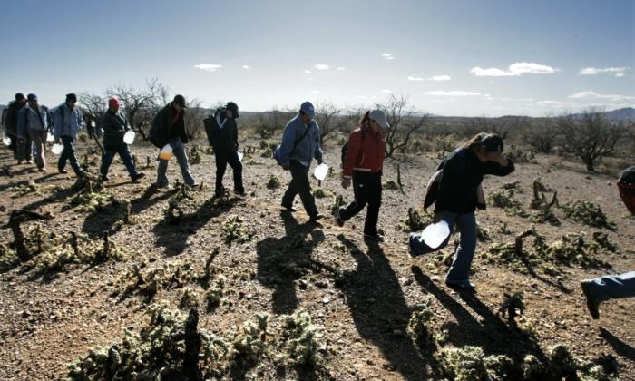 Illegal immigrants thread their way along footpaths just north of the Mexico/Arizona border. (Don Bartletti/Los Angeles Times)
