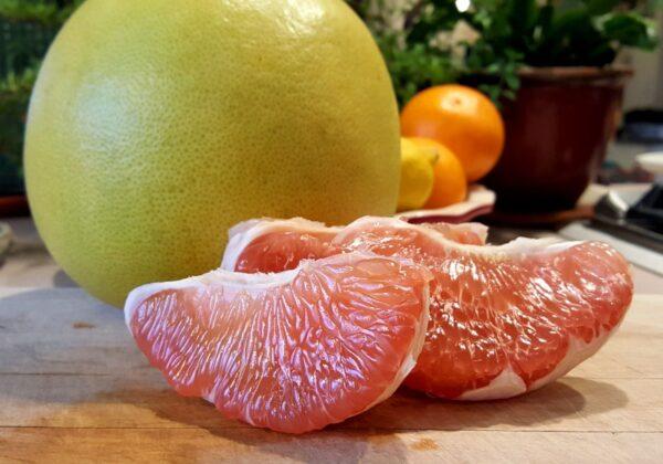 Pomelos are large fruits that weigh a pound and are the ancestors of grapefruit. (Courtesy of Pearson Ranch)