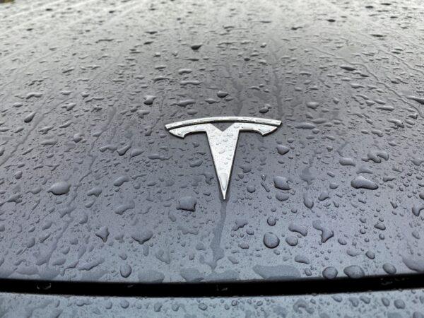 The Tesla logo on the hood of a car in Oslo, Norway, on Nov. 10, 2022. (Victoria Klesty/Reuters)