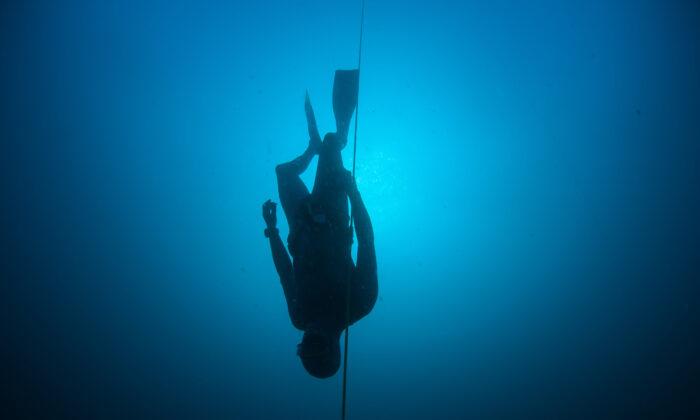Elite Divers Could Shed Light on Lung Disease