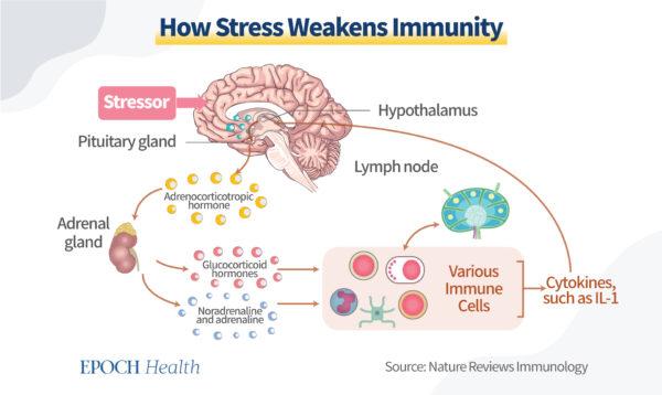 Depression weakens immunity. (The Epoch Times)