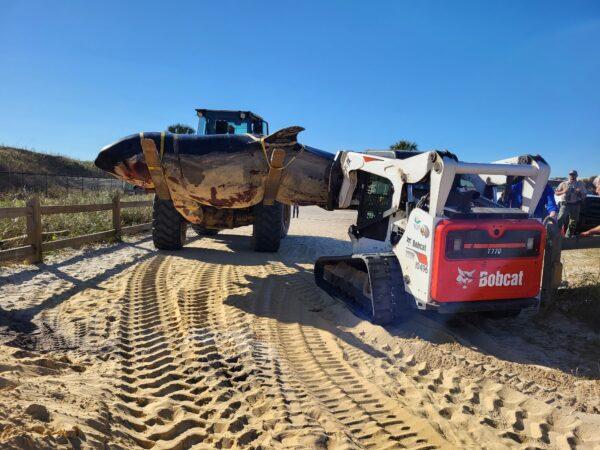 The body of a 21-foot, approximately 5,000-pound killer whale, which stranded itself on the beach in the area of Jungle Hut Park Drive in Flagler County, Fla. is carried to a flat-bed truck for transport, on Jan. 11, 2023. (Courtesy of the Flagler County Sheriff's Department)