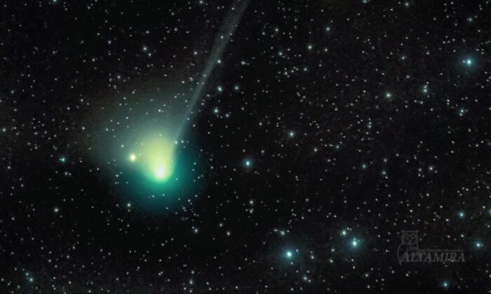 Comet Set to Graze by Earth for First Time in 50,000 Years Might Be Visible With the Naked Eye