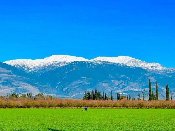 A view of Mt. Hermon from Kfar Blum. The mountain, which has an Israeli ski resort, sits where Israel, Syria, and Lebanon meet. (Courtesy of Kfar Blum)