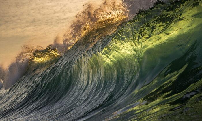 Ocean Photographer Captures Glassy Waves Frozen in Time, Translucent Walls of Water Backlit by Sunrise