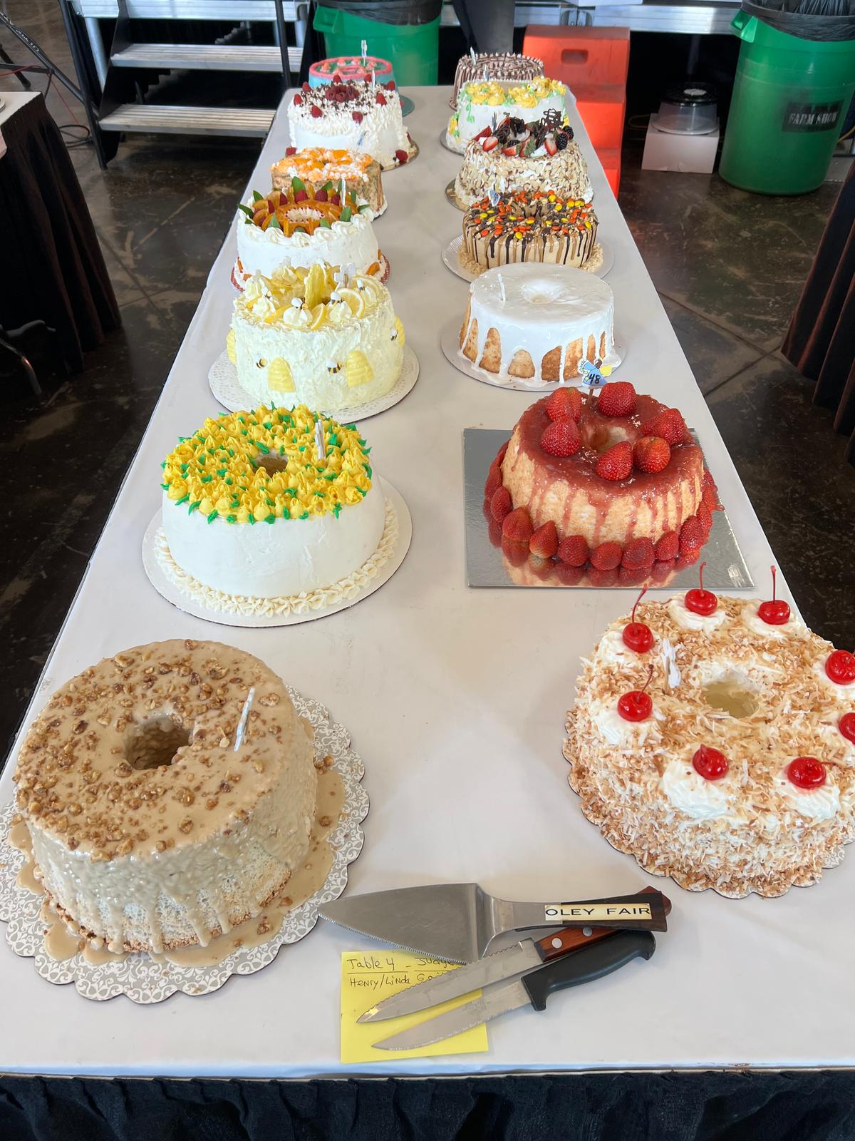 Cakes lined up on table four out of five at the Incredible Angel Food Cake Contest 2023. (Courtesy of the PA Dept. of Agriculture)