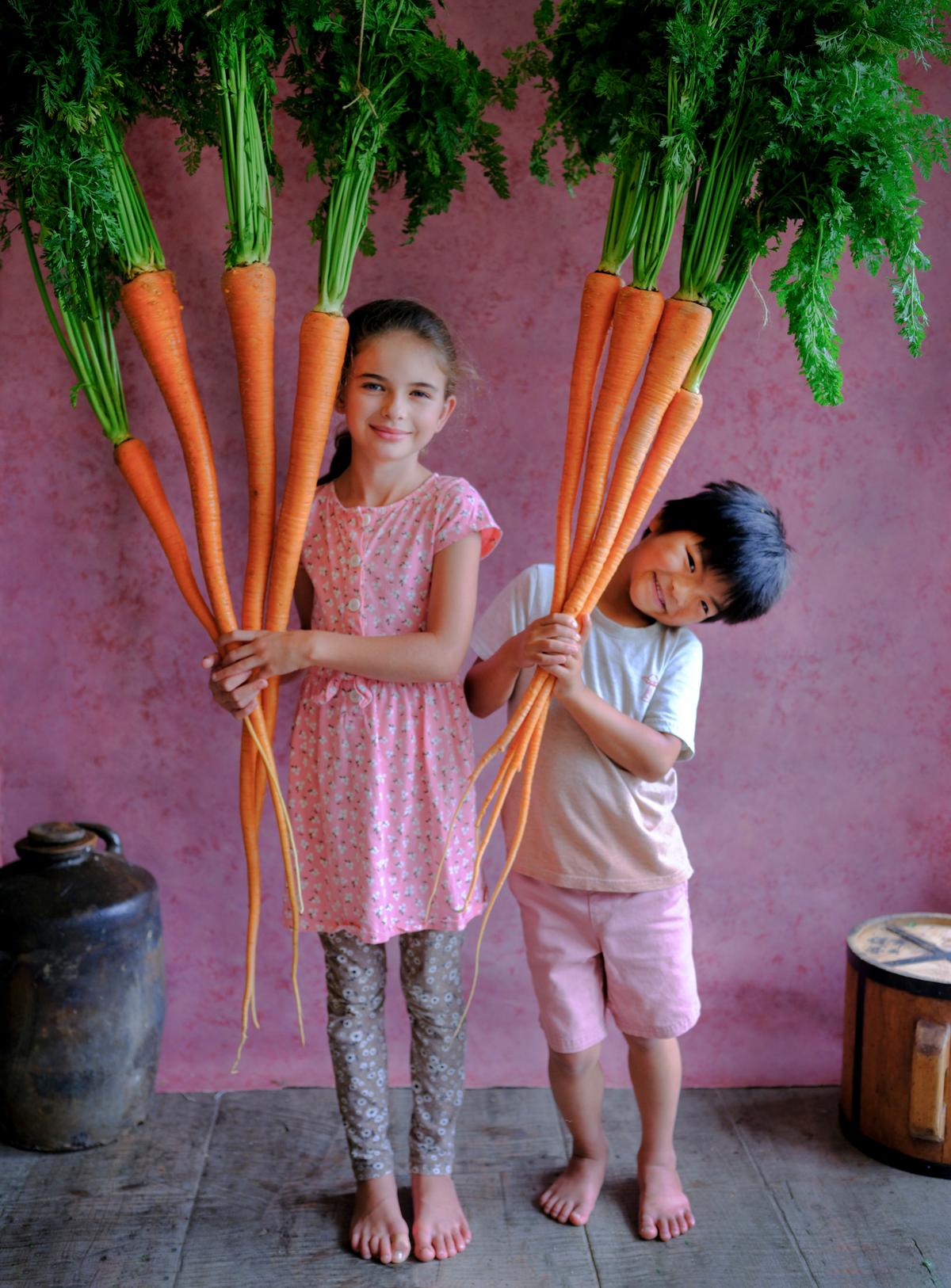 Manpukuji carrots, descended from the ancient Japanese long carrot types of the Edo period. (Baker Creek Heirloom Seed Co./RareSeeds.com)