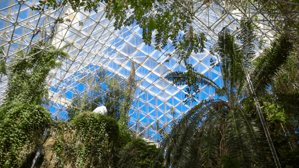 A high angle view of the Biosphere 2 rainforest. (Bob Demers/UANews)
