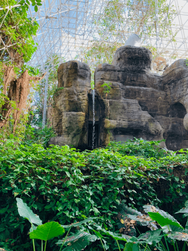 The Biosphere 2 rainforest biome. (Courtesy of the University of Arizona)