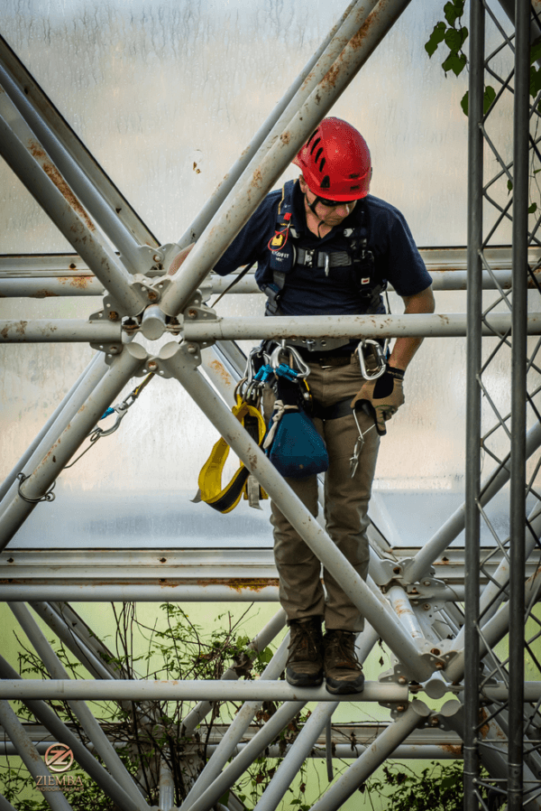 A Biosphere 2 rainforest climber inspects the facility's steel framework. (Courtesy of the University of Arizona)