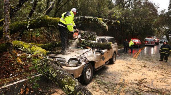 Hopland Volunteer Fire Department chief Mitch Franklin cuts away a large oak tree that fell on a vehicle, moderately injuring the driver on Old River Road, north of Hopland, Calif., in Mendocino County, on Jan. 14, 2023. (Kent Porter/The Press Democrat via AP)