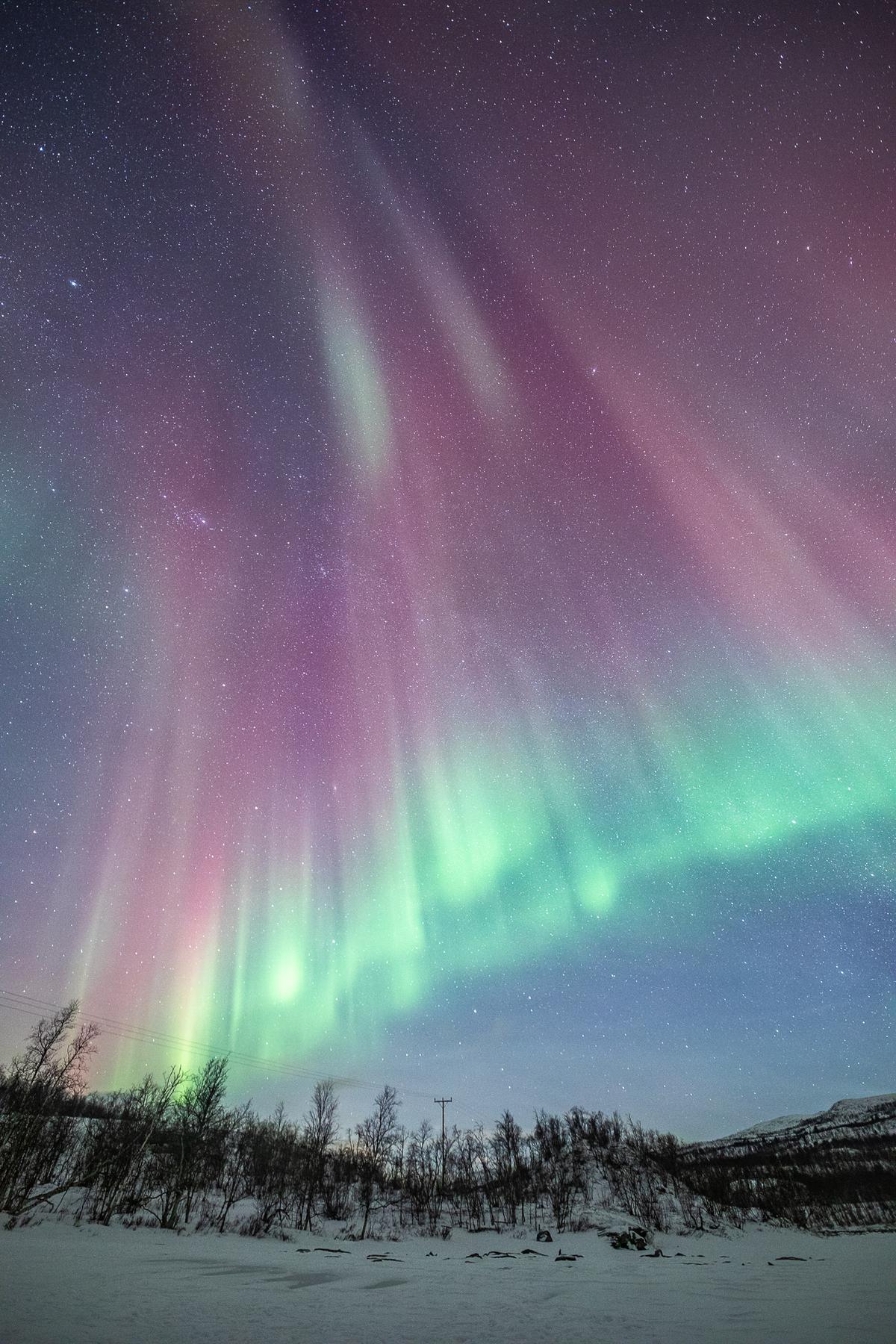 A spectacular light show in the night sky on Jan. 14, 2023. (Courtesy of <a href="https://www.facebook.com/greenlandertromso">Markus Varik</a>)