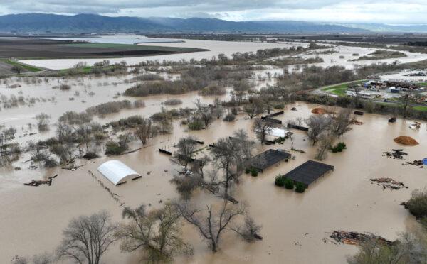 Floodwaters cover an agricultural area after the Salinas River overflowed its banks in Salinas, California, on Jan. 13, 2023. (Justin Sullivan/Getty Images)