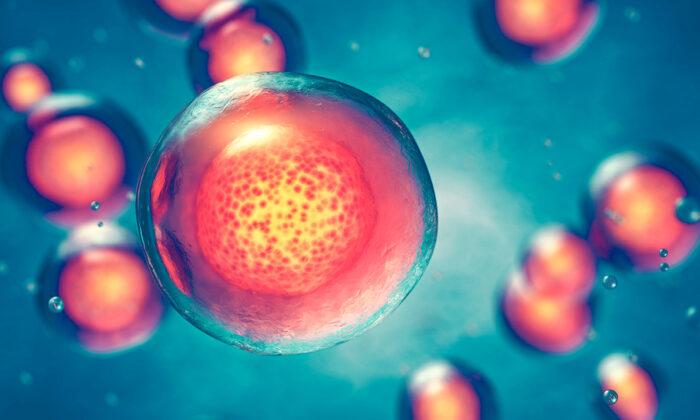 Your Cells Can Heal Themselves Naturally; 3 Ways to Boost Repair