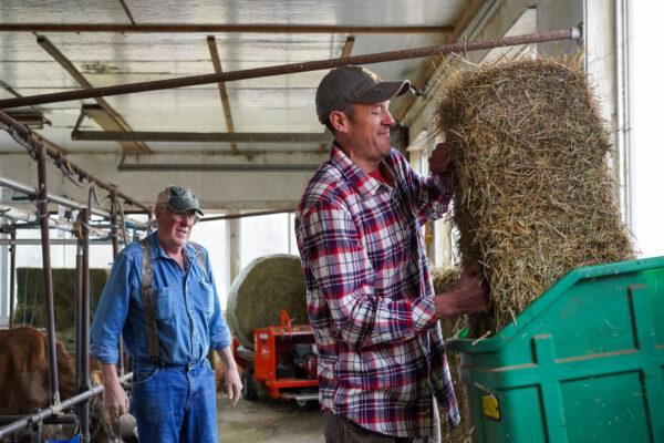 Chris Vreeland helps his father with hay at the Freedom Hill Farm in Otisville, N.Y., on Jan. 13, 2023. (Cara Ding/The Epoch Times)