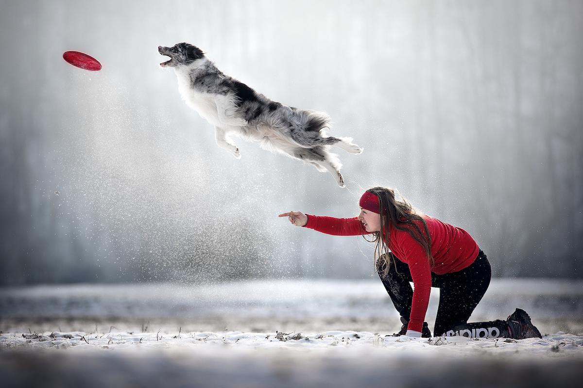 By Kjara Kocbek, from Slovenia. (Courtesy of Kjara Kocbek via <a href="https://www.dogphotographyawards.com/winners-2022/">Dog Photography Awards</a>)