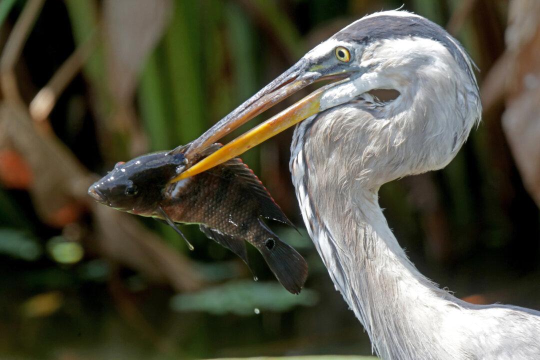 Enjoy South Florida’s Quirky Winter Ways With These 11 Activities