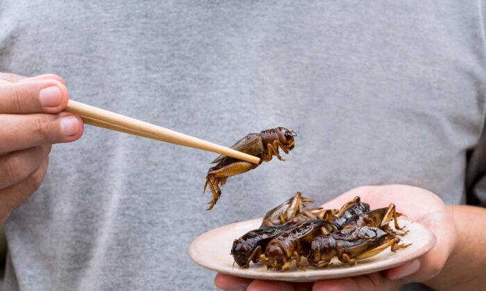 Will We Eat Bugs? A French Biotech Firm Thinks So