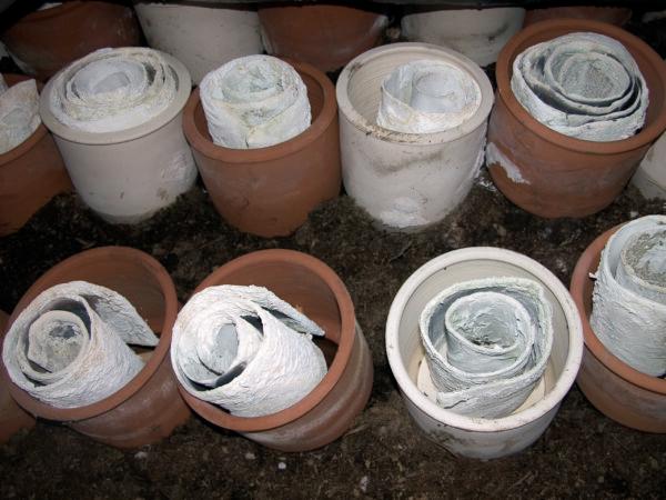 In this image, rolls of lead corrode in the "stack process" or Old Dutch method of making the pigment lead white. This lead has been exposed to acetic acid vapor, moisture, and carbon dioxide produced from fermented matter such as horse manure, which also provides heat. These together cause the lead to corrode, producing scales of lead (flake white). (Courtesy of Natural Pigments)
