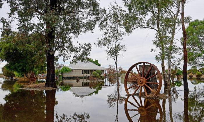 Farmers Fight on After Floods in Australian State