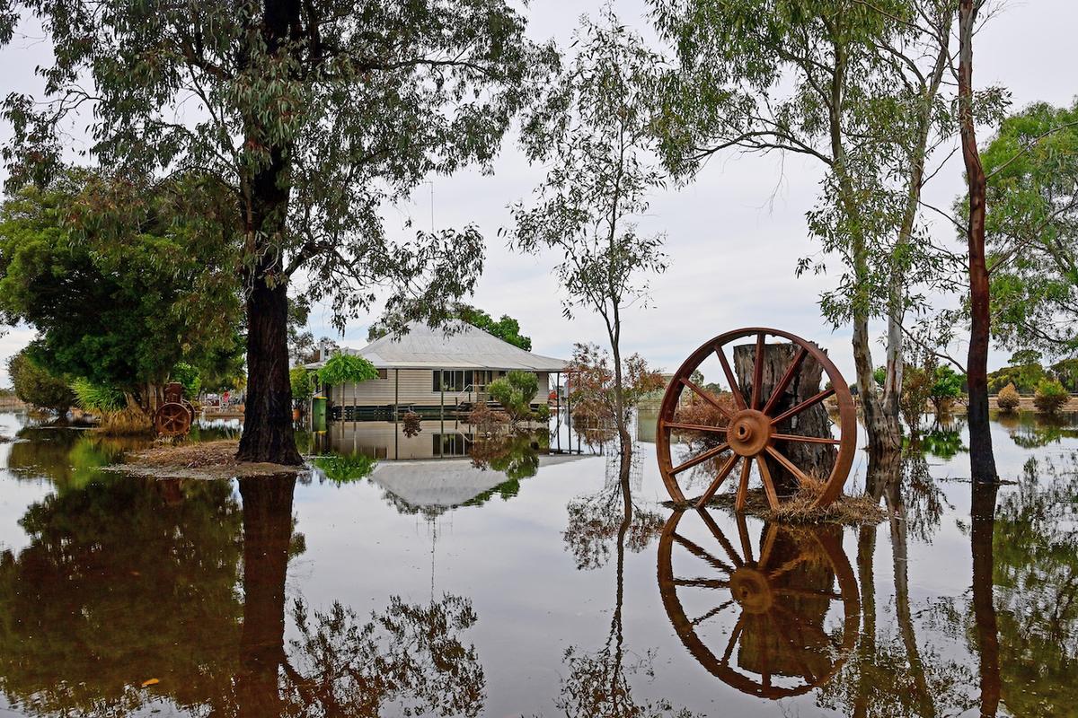 Farmers Fight on After Floods in Australian State