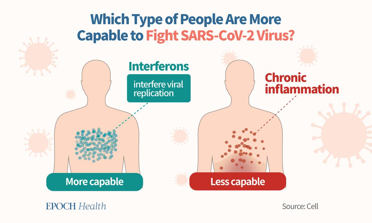 There are two states that dictate whether someone will get sick: antiviral state and systemic chronic inflammation. (The Epoch Times)
