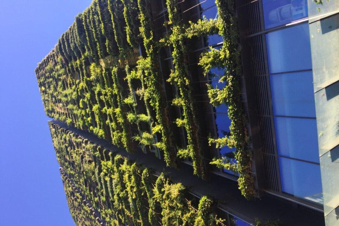 Vertical Gardens: Researchers Determine Efficacy of Cheaper Cooling Method
