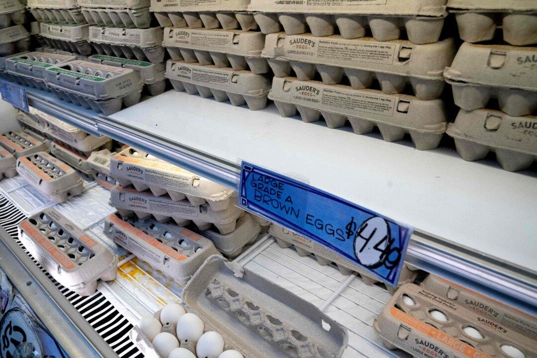 Farm Group Calls for Investigation of Record-High Egg Prices