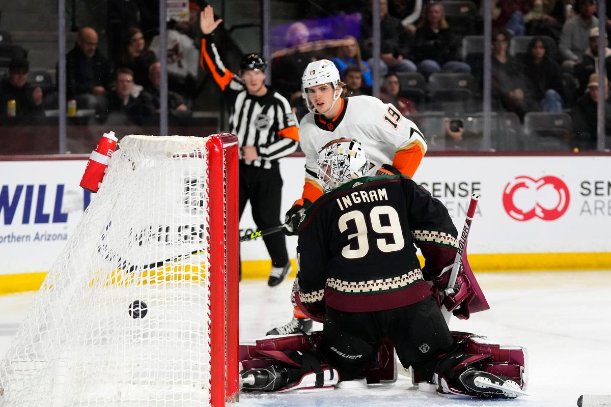 Fowler Scores Twice, Ducks Knock Off Coyotes 5–2