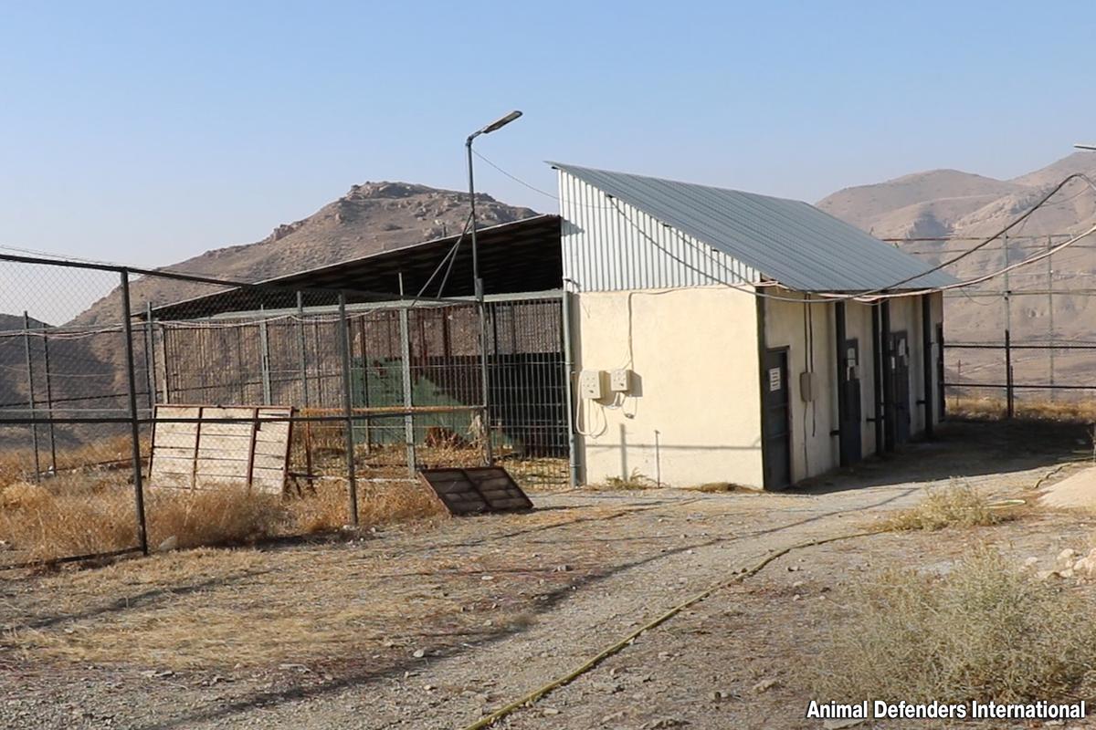Ruben's temporary home in Armenia, a quarantine unit. (Courtesy of <a href="https://adiwildlifesanctuary.org.za/">Animal Defenders International</a>)