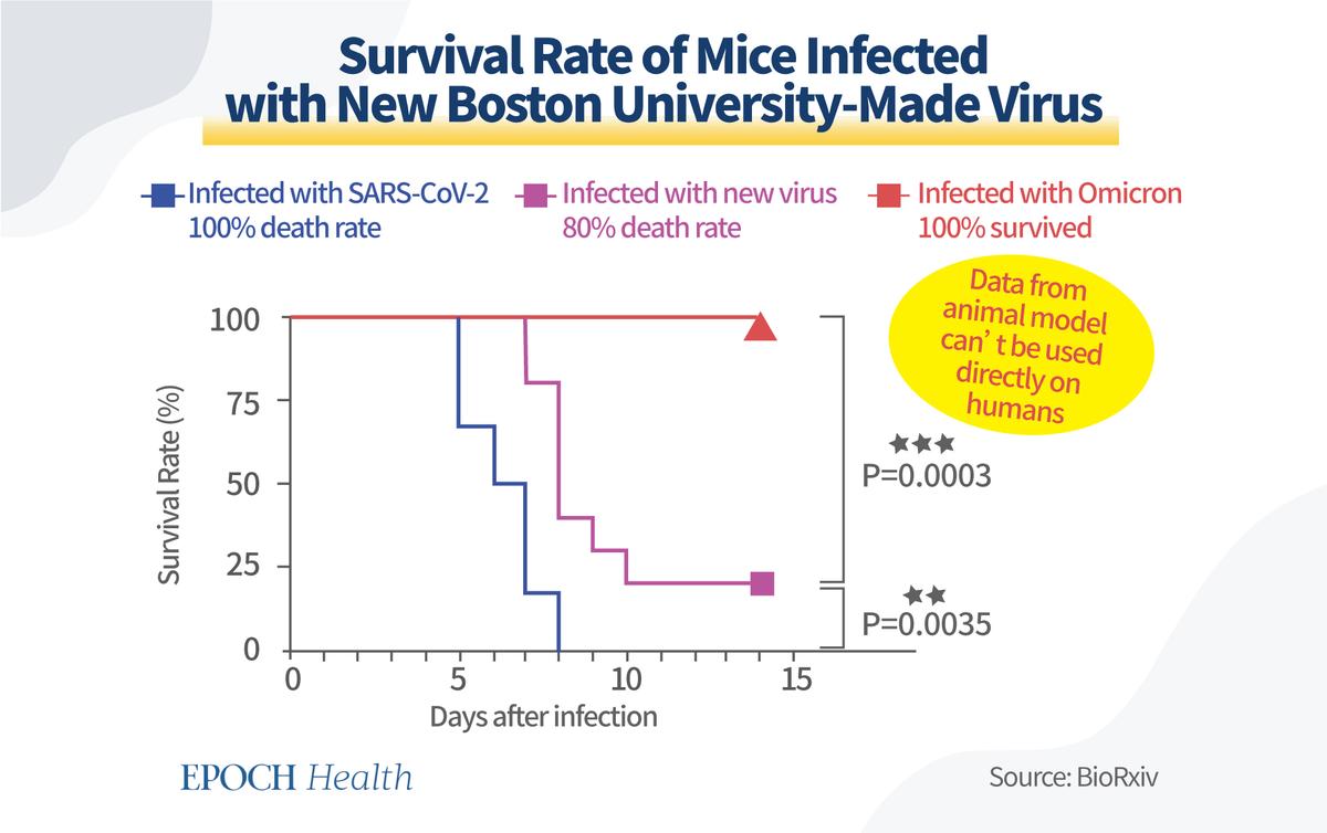 Chimeric virus-induced death in a transgenic mouse model. (The Epoch Times)