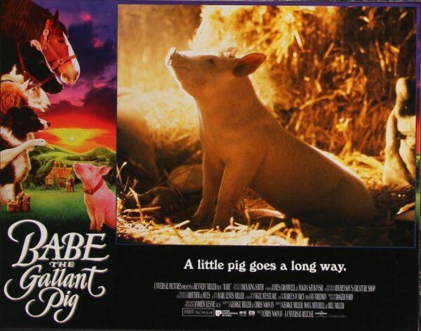Lobby card for "Babe," the story of a special pig. (MovieStillsMB)