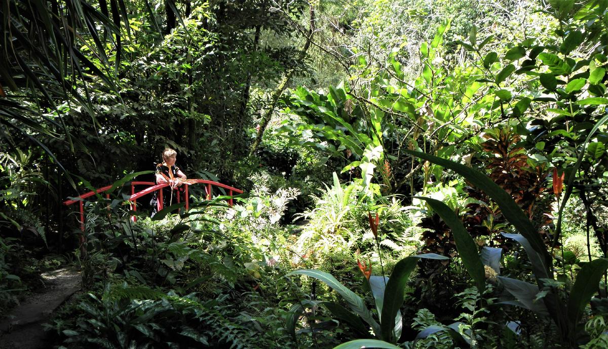 A visitor stops to enjoy the lush foliage on the Caribbean island of St. Lucia. (Courtesy of Victor Block)