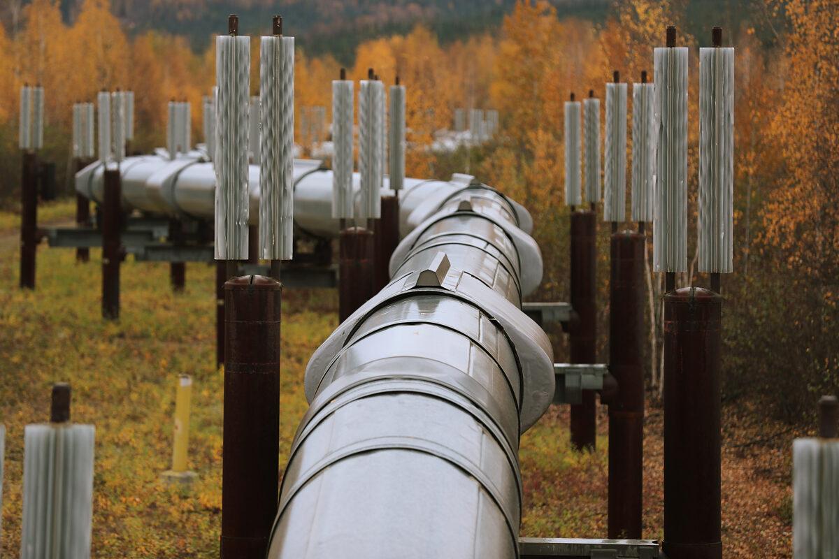 Pipeline Operators Call for Congress to Close Loophole That Shields Vandals From Federal Criminal Prosecution 2 A part of the Trans Alaska Pipeline System in Fairbanks, Alaska, on Sept. 17, 2019. (Joe Raedle/Getty Images)