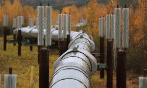 Alaska Sues Biden Administration Over Canceled Arctic Oil, Gas Leases