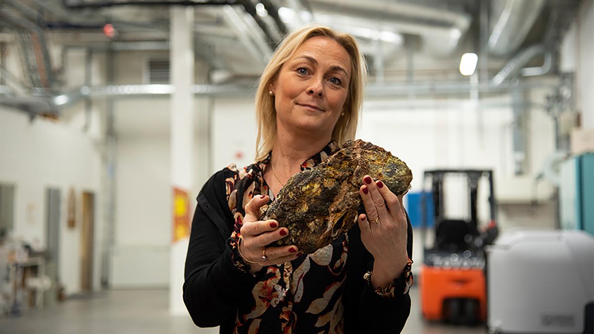 Norway Finds Rare Earth Metals That Could Make Europe Less Dependent on China