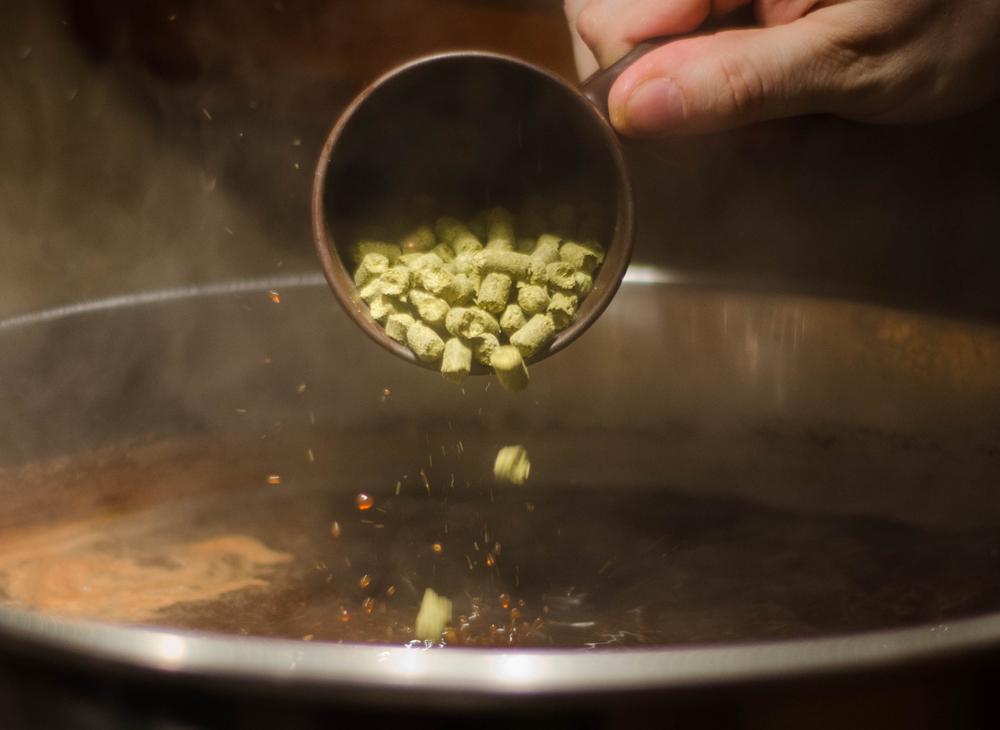 As the final step in creating the beer's flavor, finishing hops are added during the last 15 minutes of boiling. (Steve Bowers/Shutterstock)