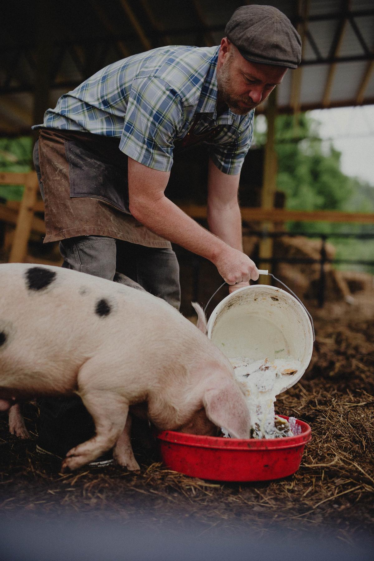 Justin Rhodes taking care of a pig on his homestead. (Benjamin Roberts)