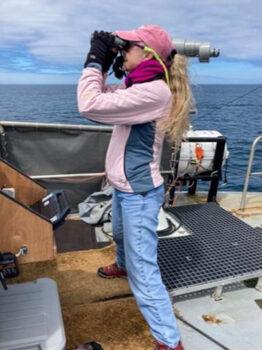 Oregon State University Marine Mammal Institute director Lisa Ballance searches for whales off the Oregon coast as part of a four-year study to investigate the possible impacts of offshore floating wind farms on marine life. (Courtesy of OSU MOSAIC Project)